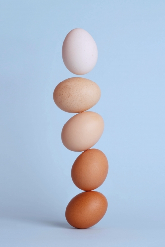 Quanto costa la comunicazione e il web marketing?